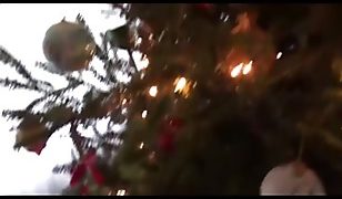 Christmas With Hot Stepsistere3vv